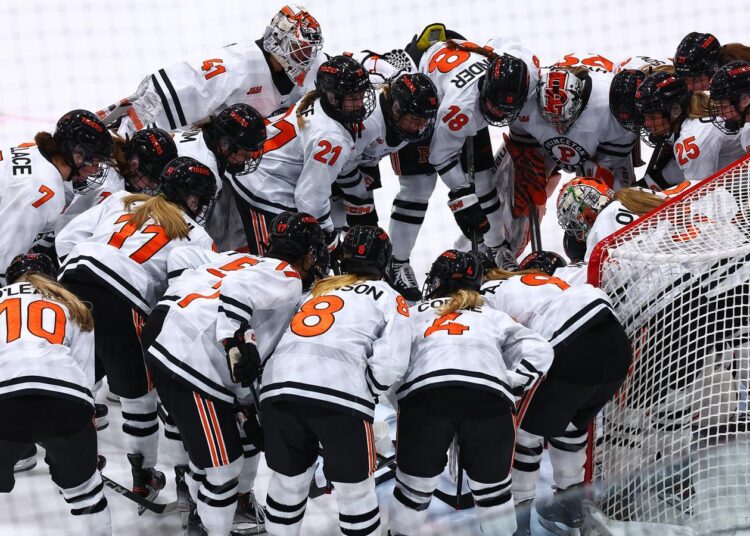 Princeton University