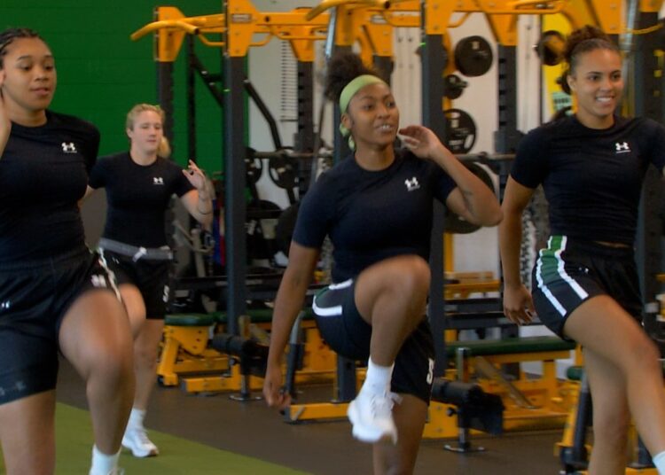 Siena women shifting seamlessly into Terry Primm era